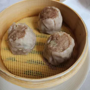 하이보 사진