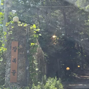 장복골 리뷰 사진