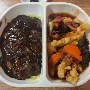 금룡 사진
