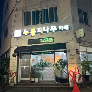 누룽지나무 사진 1