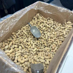 파이브가이즈 대표 사진