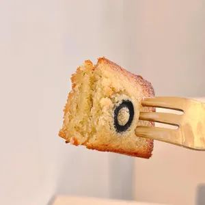 듀오브던 사진