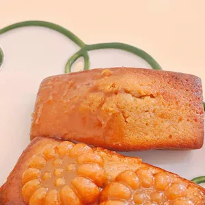 듀오브던 사진