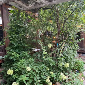 삼원샏 사진 2
