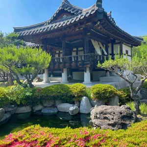 묘운 리뷰 사진