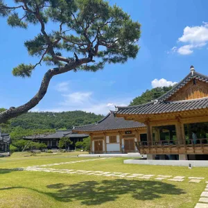묘운 리뷰 사진