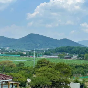 덕남 리뷰 사진