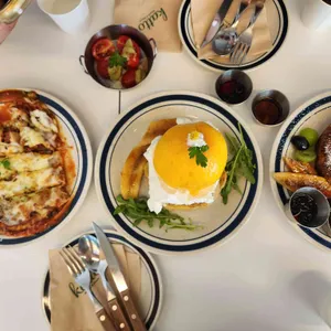 카토 사진 1