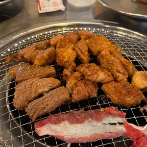 갈비도둑 사진