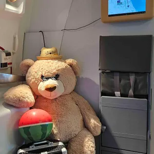 볼라레 대표 사진