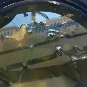 마산식당 리뷰 사진