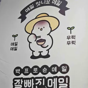 잘빠진메밀 리뷰 사진