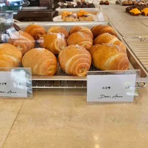 디어안나 사진