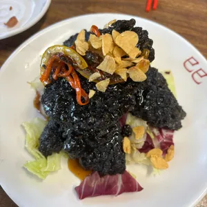 셔셔 사진