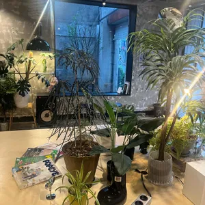 키츠네 리뷰 사진