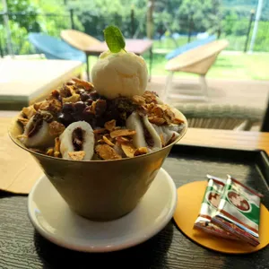 카페 카노푸스 사진