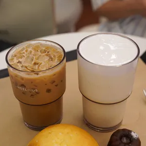 엔제리너스 사진