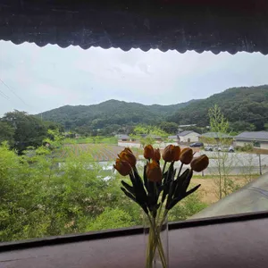 교토리 리뷰 사진