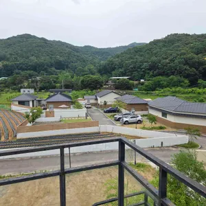 교토리 리뷰 사진