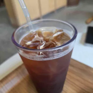 교토리 사진