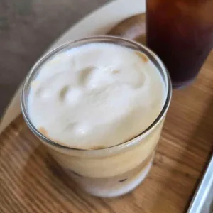 교토리 사진