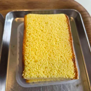 교토리 사진