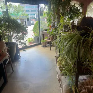 안단테153 리뷰 사진