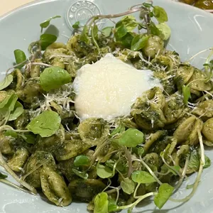 마루마끼 사진