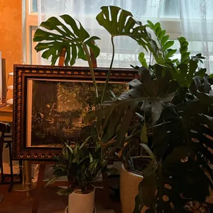 그로리 와인 PUB & BISTRO 리뷰 사진