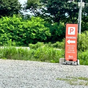 버트 리뷰 사진