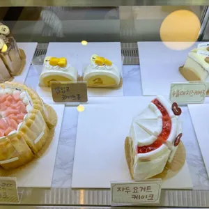 버트 사진