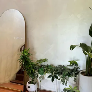 버트 리뷰 사진