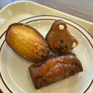 카우시 사진