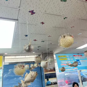 부산밀면 리뷰 사진