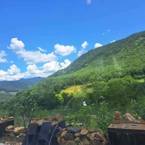 넌 커피 리뷰 사진