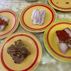 갓파스시 사진