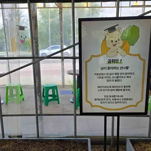 박사마을곰핫도그 리뷰 사진