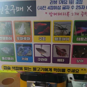 작은연못 리뷰 사진