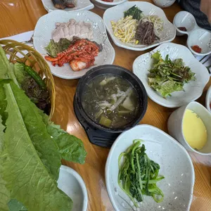 벽오동 사진 1