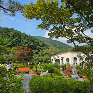 더그림 사진 2