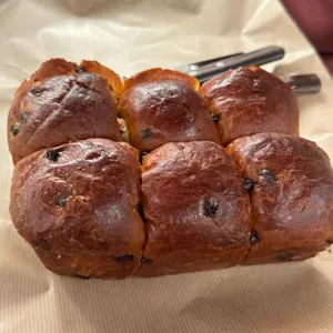 테라로사 사진