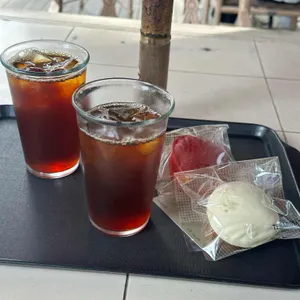 테라로사 사진