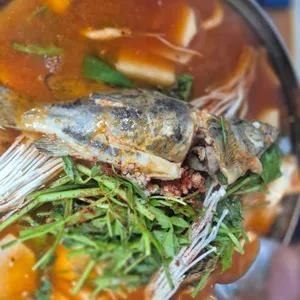 박쏘가리 사진