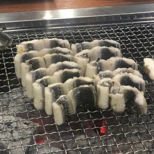 미진장어 사진 2