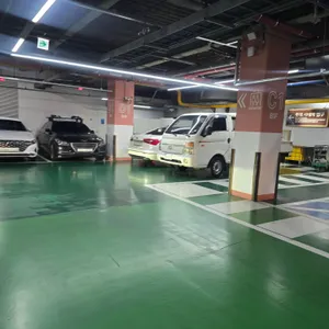 봄경 리뷰 사진