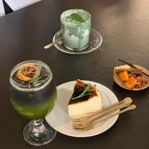 티소하 사진