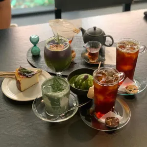 티소하 사진