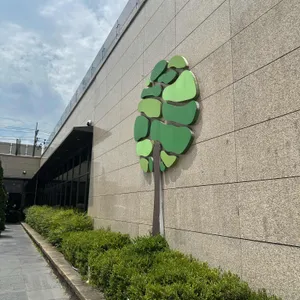 청목 리뷰 사진