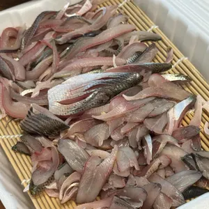 생스쿠바횟집 사진