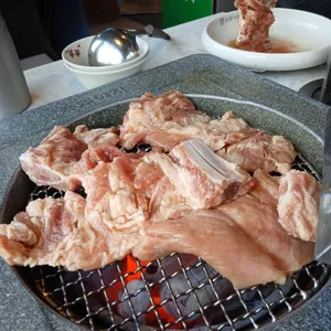 녹돼야지 사진